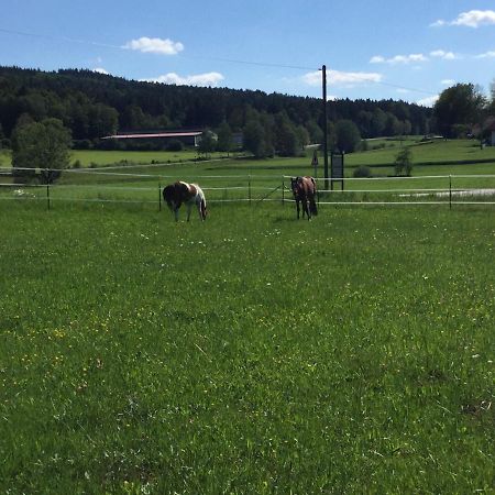 Haus Am Treffenbach Appartement Waldmünchen Buitenkant foto