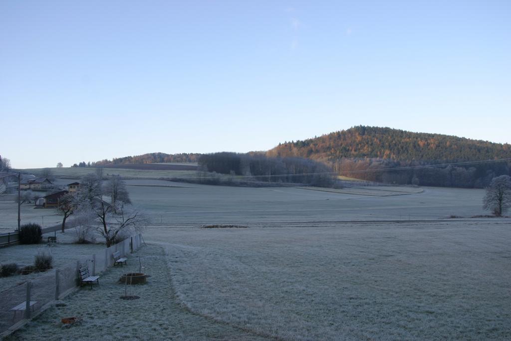Haus Am Treffenbach Appartement Waldmünchen Buitenkant foto
