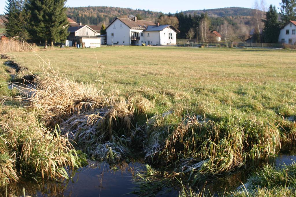 Haus Am Treffenbach Appartement Waldmünchen Buitenkant foto