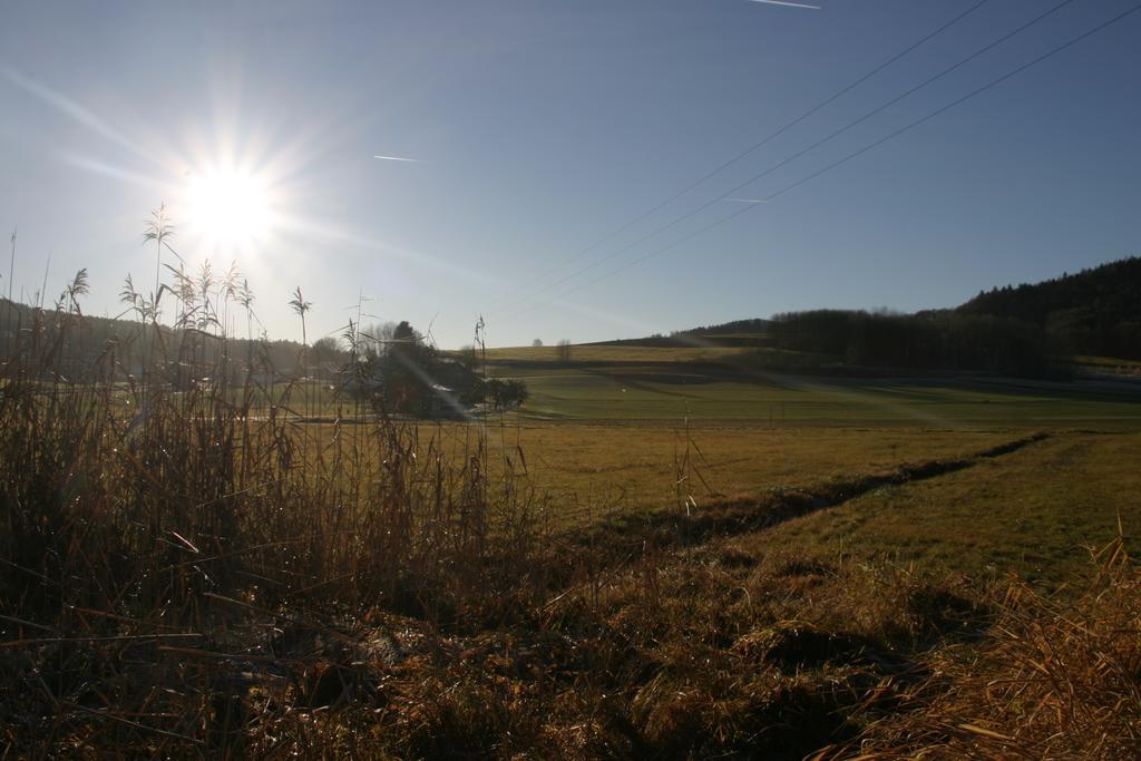 Haus Am Treffenbach Appartement Waldmünchen Buitenkant foto