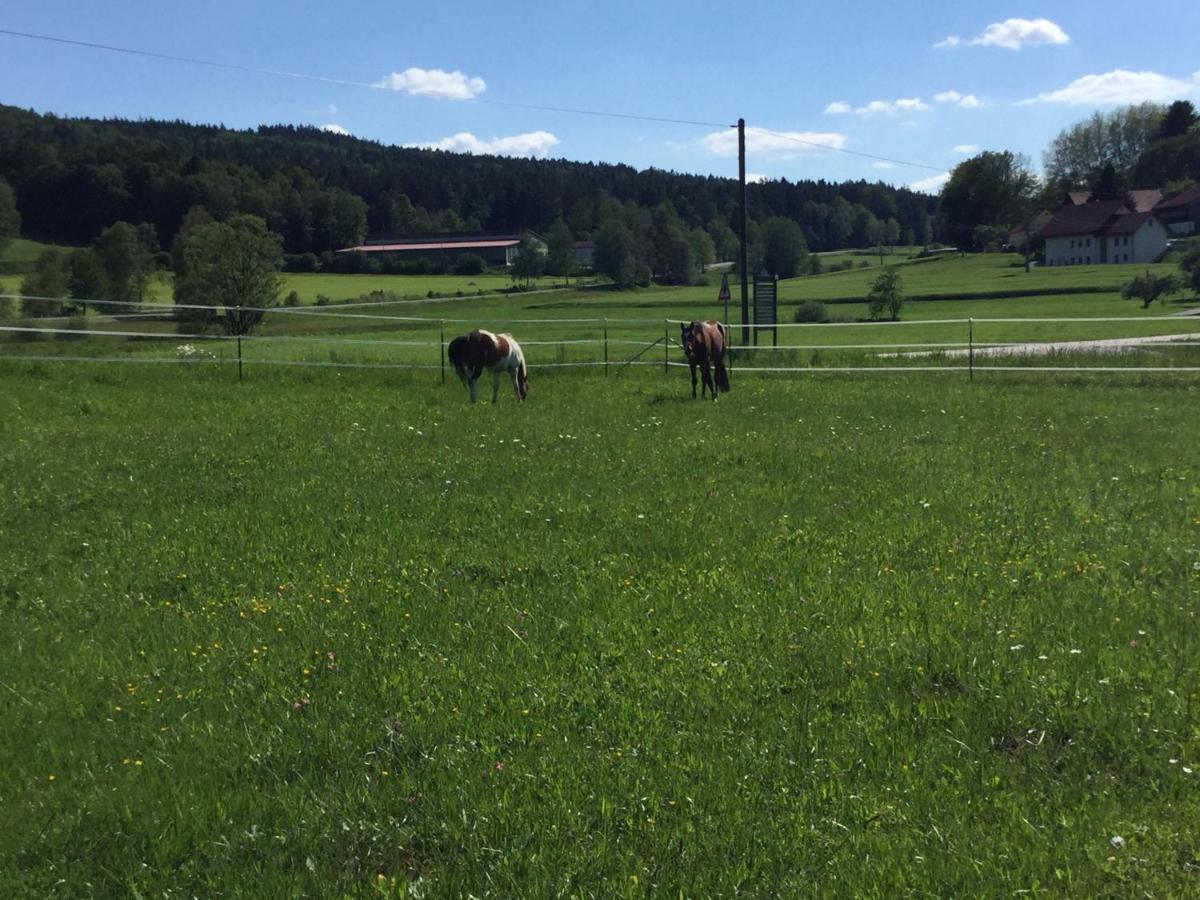 Haus Am Treffenbach Appartement Waldmünchen Buitenkant foto